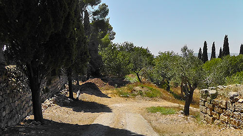 sentier du mont Tabor