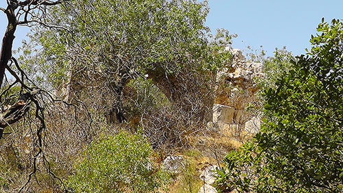 ruines du mont Tabor