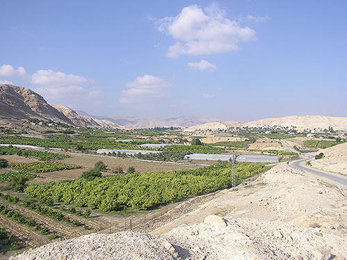 Vue sur la vallée de l’oued Nueima (Naaran) qui irrigue l’oasis de Jéricho