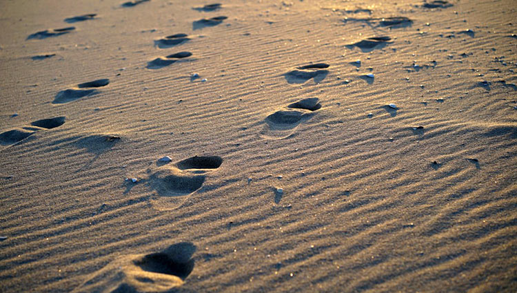 pas dans le sable