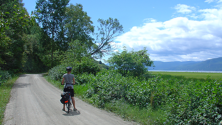 cycliste