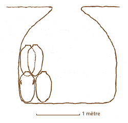 section horizontale