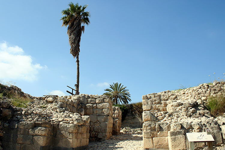 porte de Megiddo