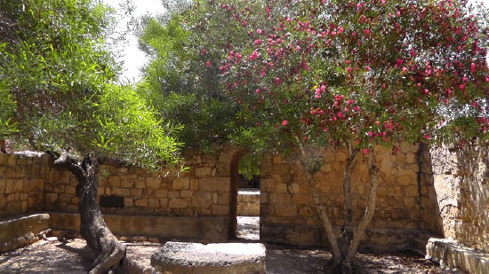 jardin d'une cours intérieure