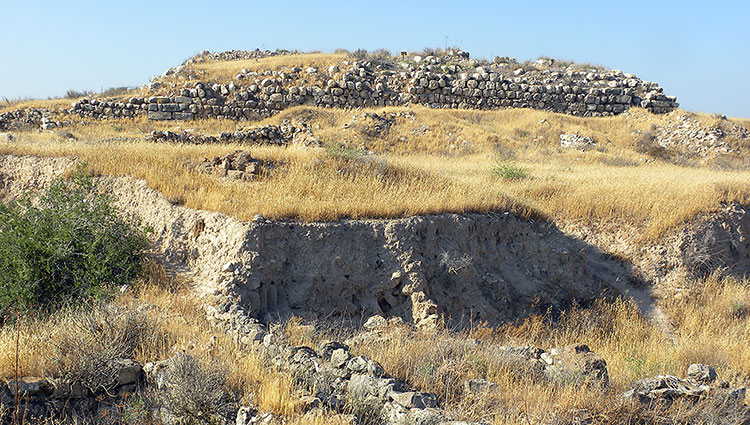 Reconstitution du texte