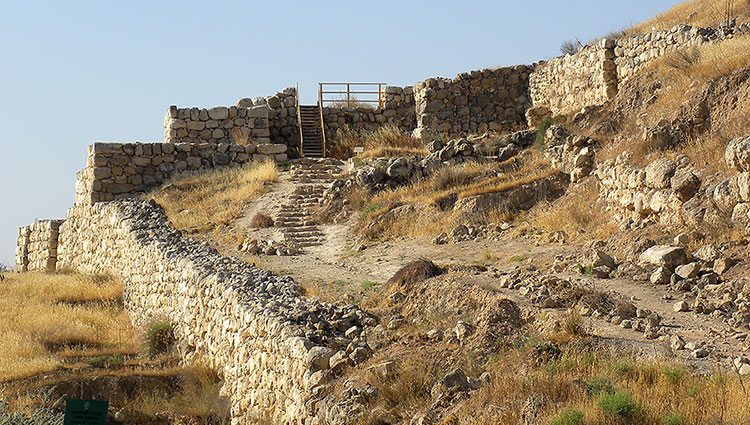 Reconstitution du texte